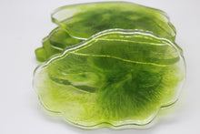 Load image into Gallery viewer, Algae - 5 Piece Resin Coaster Set
