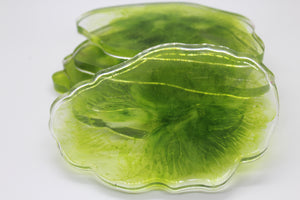 Algae - 5 Piece Resin Coaster Set