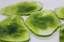 Load image into Gallery viewer, Algae - 5 Piece Resin Coaster Set
